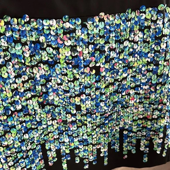 Ann Taylor Black Skirt with Blue and Green Sequins - Picture 6 of 6